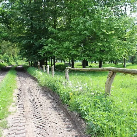 Haus Kornblume * Oberlangen